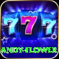 andy flower Premium Edition v4.2.2