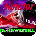 antigua hawksbill Premium Edition v3.9.8