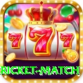 bangladesh cricket match Deluxe Edition v5.9.1
