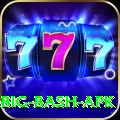bbl big bash apk Premium Edition v2.3.2