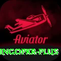 bingopkr Elite Pro v1.4.8