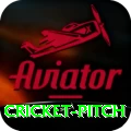 cricket pitch Apps (Tools & Injectors) Max v5.1.0