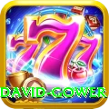 david gower Gold Edition v4.0.7