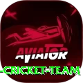 hong kong cricket team Premium Edition v2.2.3