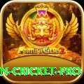 india pakistan cricket Casino Max v1.4.1