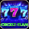 ireland cricket team Plus Edition v5.3.5