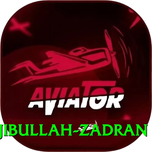 najibullah zadran Turbo Pro v4.3.1 - 2