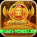 naseem shah yorkers Deluxe Edition v4.8.5