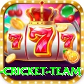 netherlands cricket team Games (Casino & Earning) VIP v5.9.1
