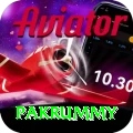 pakrummy Master v4.9.7