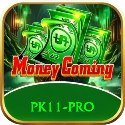 pk11 Casino Plus v3.6.6 - 2