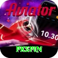 pkspin Pro1 v4.1.4