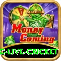 smartcric live cricket Pro1 v5.4.8