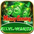 steve waugh Premium Edition v1.7.1