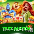 test match Gold Pro v4.5.3