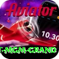 the signature at mgm grand VIP v4.0.9