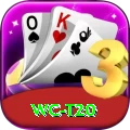 wc t20 Pro Edition v1.3.5