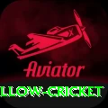 willow cricket Deluxe v4.5.9