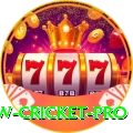 willow cricket Bonus Gold v1.4.8