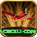 www cricket com Max v4.5.8